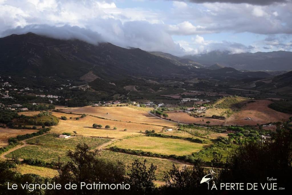 Studio Terremer Patrimonio Εξωτερικό φωτογραφία